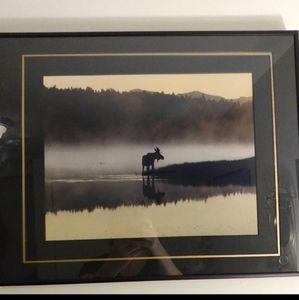 Moose In The Mist" Signed Framed And Matted Pat Toth- Smith